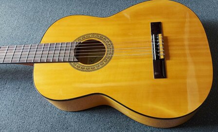 Motion WMF1005SM Flamenco, fullsize body, solid spruce top
