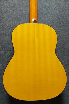 Motion WMF1005SM Flamenco, fullsize body, solid spruce top