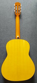 Motion WMF1005SM Flamenco, fullsize body, solid spruce top