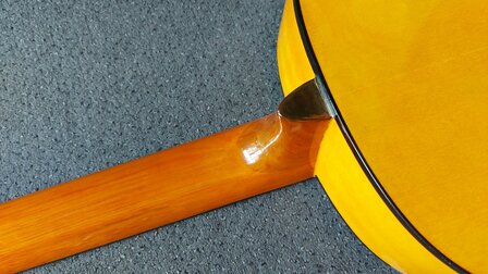 Motion WMF1005SM Flamenco, fullsize body, solid spruce top