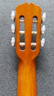 Motion WMF1005SM Flamenco, fullsize body, solid spruce top