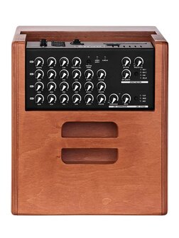 Acus One Series acoustic instruments amplifier ONE FOR STRINGS 8 FERDI