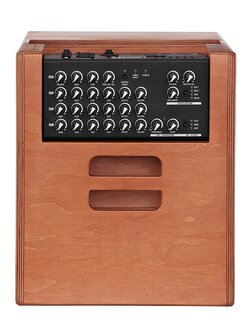 Acus One Series acoustic instruments amplifier ONE FOR STRINGS 10 FERDI