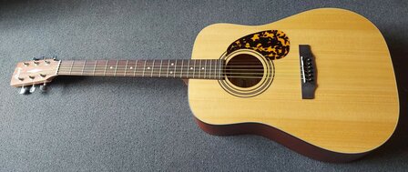 CORT Earth Open Pore startersset met div accessoires waaronder een zwarte gigbag