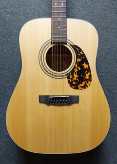 CORT Earth Open Pore startersset met div accessoires waaronder een zwarte gigbag