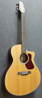 WALDEN Folkgitaar G800CE, Grand Auditorium Cut, massief, gesatineerd, EQ, electro-akoestisch met gigbag