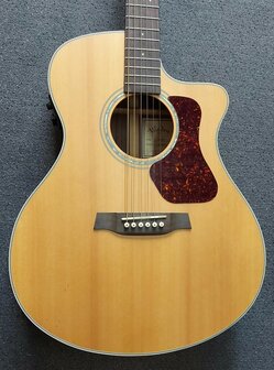 WALDEN Folkgitaar G800CE, Grand Auditorium Cut, massief, gesatineerd, EQ, electro-akoestisch met gigbag