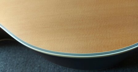 WALDEN Folkgitaar G800CE, Grand Auditorium Cut, massief, gesatineerd, EQ, electro-akoestisch met gigbag