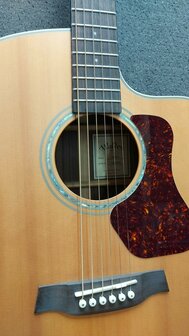 WALDEN Folkgitaar G800CE, Grand Auditorium Cut, massief, gesatineerd, EQ, electro-akoestisch met gigbag
