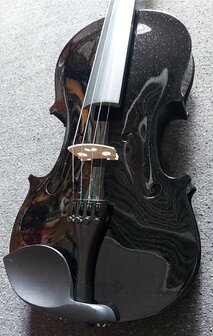 Viool 4/4 (volwassen model) compleet, zwart 