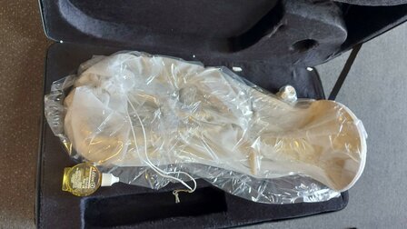 Stewart Ellis Pro Series althoorn met harde softcase