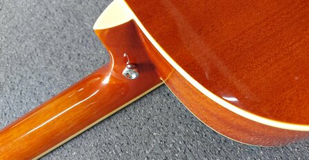 Eko One Resonator Electro-akoestisch, nu geleverd met koffer