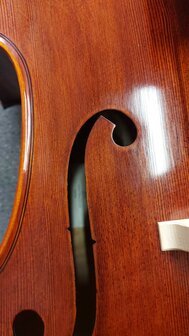 Stentor Cello 4/4, ProSeries handmade Arcadia, schade