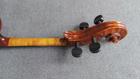 Stentor Cello 4/4, ProSeries handmade Arcadia, schade