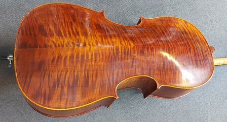 Stentor Cello 4/4, ProSeries handmade Arcadia, schade