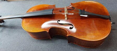 Stentor Cello 4/4, ProSeries handmade Arcadia, schade