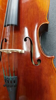 Stentor Cello 4/4, ProSeries handmade Arcadia, schade