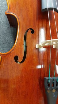 Stentor Cello 4/4, ProSeries handmade Arcadia, schade