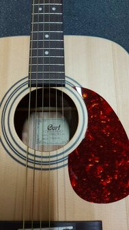 CORT Earth Open Pore startersset met div accessoires waaronder een zwarte gigbag