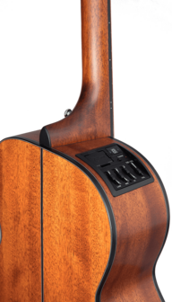 Takamine GLN11ENS Okoume