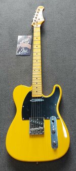 EKO Telecaster model Tribute T401 Butterscotch