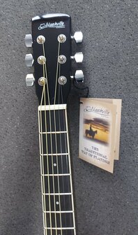 Nashville by Richwood, Dreadnought gitaar, sunburst
