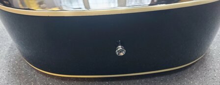 Nashville by Richwood, Dreadnought gitaar, sunburst