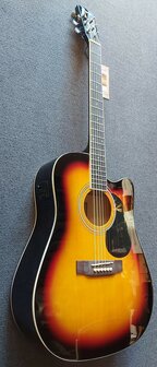 Nashville by Richwood, Dreadnought electro-akoestische gitaar, sunburst met dikke hoes