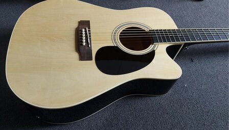 Nashville by Richwood electro-akoestische gitaar met dikke hoes