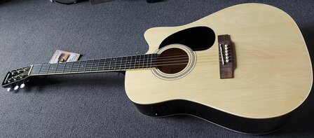 Nashville by Richwood electro-akoestische gitaar met dikke hoes