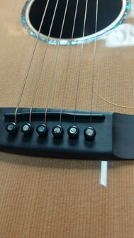 Kremona steelstring gitaar R 30 dreadnought