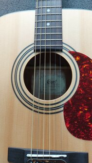 CORT Earth Open Pore startersset met div accessoires waaronder een zwarte gigbag
