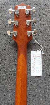 Takamine GLN11ENS Okoume, nu met gevoerde hoes