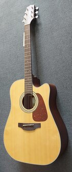 Takamine GD10CENS Dreadnought gitaar met cutaway en element
