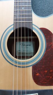 Takamine GD10CENS Dreadnought gitaar met cutaway en element