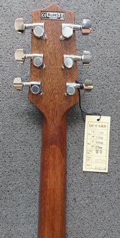 Takamine GD10CENS Dreadnought gitaar met cutaway en element