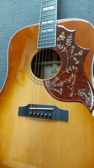 Sigma DM-SG5+ Hummingbird Cherry Sunburst, electro-akoestisch, nu met gevoerde hoes