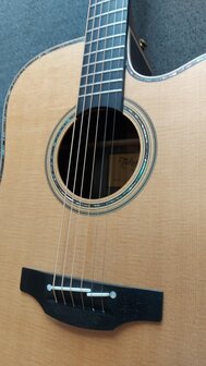 Takamine TN18C - Dreadnought Cutaway Electro