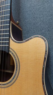 Takamine TN18C - Dreadnought Cutaway Electro