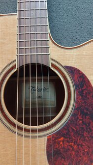 Takamine Pro Series P4DC met koffer, Japan