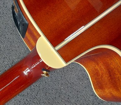 Takamine Pro Series P4DC met koffer, Japan