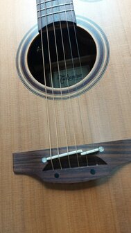 Takamine Tan10C Special Series Reissue w/CTP-3 Cooltube (B-stock)