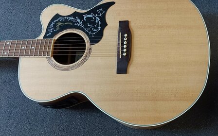 Indie "The Pure" JCE Paradise Bird Jumbo westerngitaar