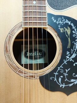Indie "The Pure" JCE Paradise Bird Jumbo westerngitaar