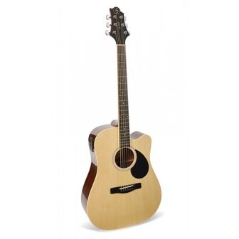 Samick Greg Bennett Regency Series, D2CE, spruce top