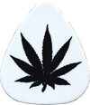 4 Catfish plectrums model 351 Cannabis