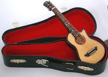 Miniatuur western gitaar met cutaway en koffer 