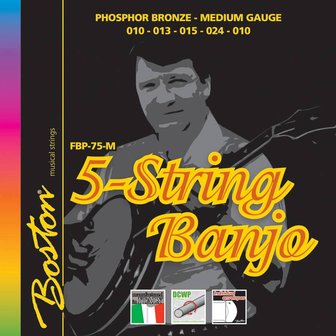 Boston snarenset voor 5-snarige banjo, loop-end