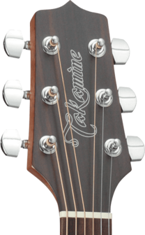 Takamine GD10CENS Dreadnought gitaar met cutaway en element