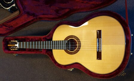 Martinez Flamenco Series gitaar MFG CS met koffer